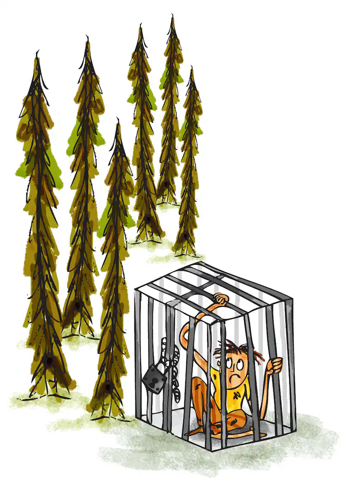 Hansel is trapped inside a small cage next to the forest trees