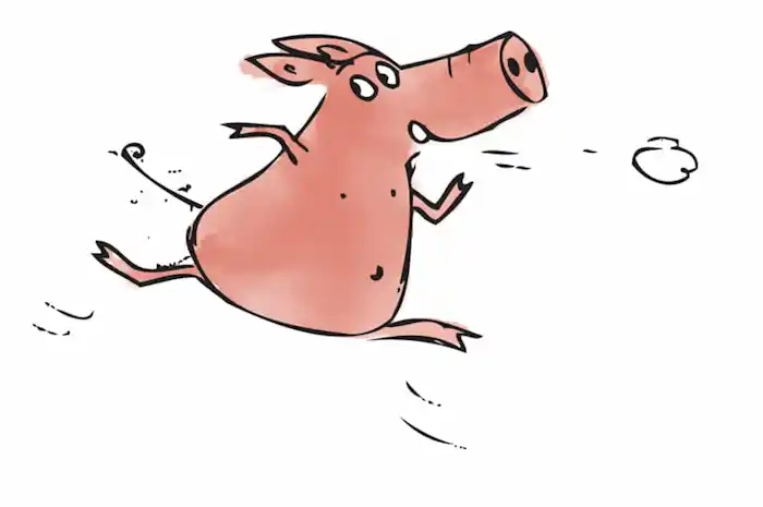 Little pig running leaping fast through the air