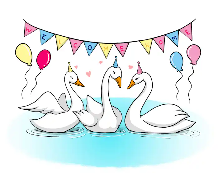 Three white swans wear party hats.