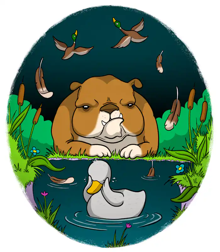 The white duckling cries while sitting on a pond. A dog sits on the bank of the water. 